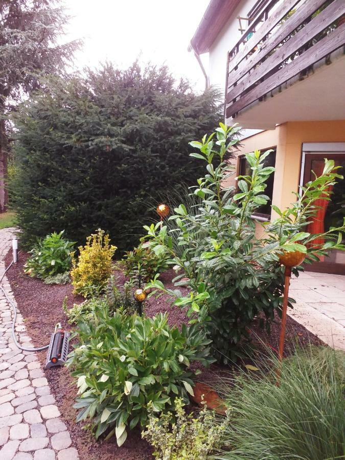 Oberrot Ferienwohnung Im Rottal מראה חיצוני תמונה
